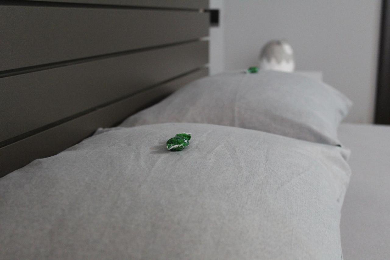 פודגוריצה Apartman Daca מראה חיצוני תמונה